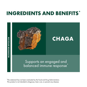 Extrait de Chaga Host Defense avec des champignons en arrière-plan