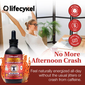 Extrait de champignon Cordyceps Life Cykel sur une table en bois