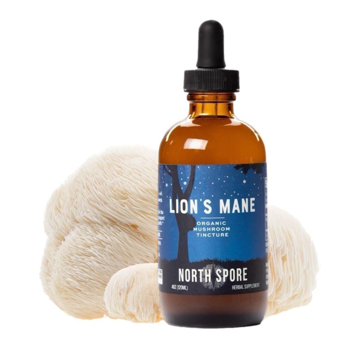 Extrait de champignon Crinière de Lion North Spore avec compte-gouttes
