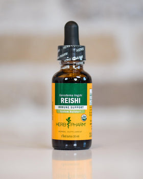 Extrait de champignon Reishi Herb Pharm sur une table en bois