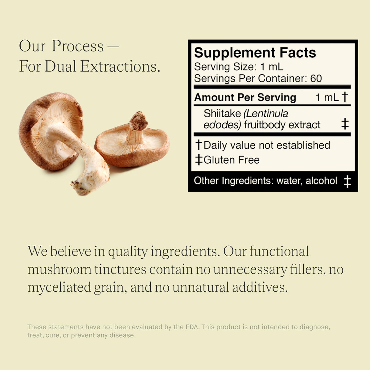 Extrait de champignon shiitake UPHORIC URTH mélangé dans un verre d'eau