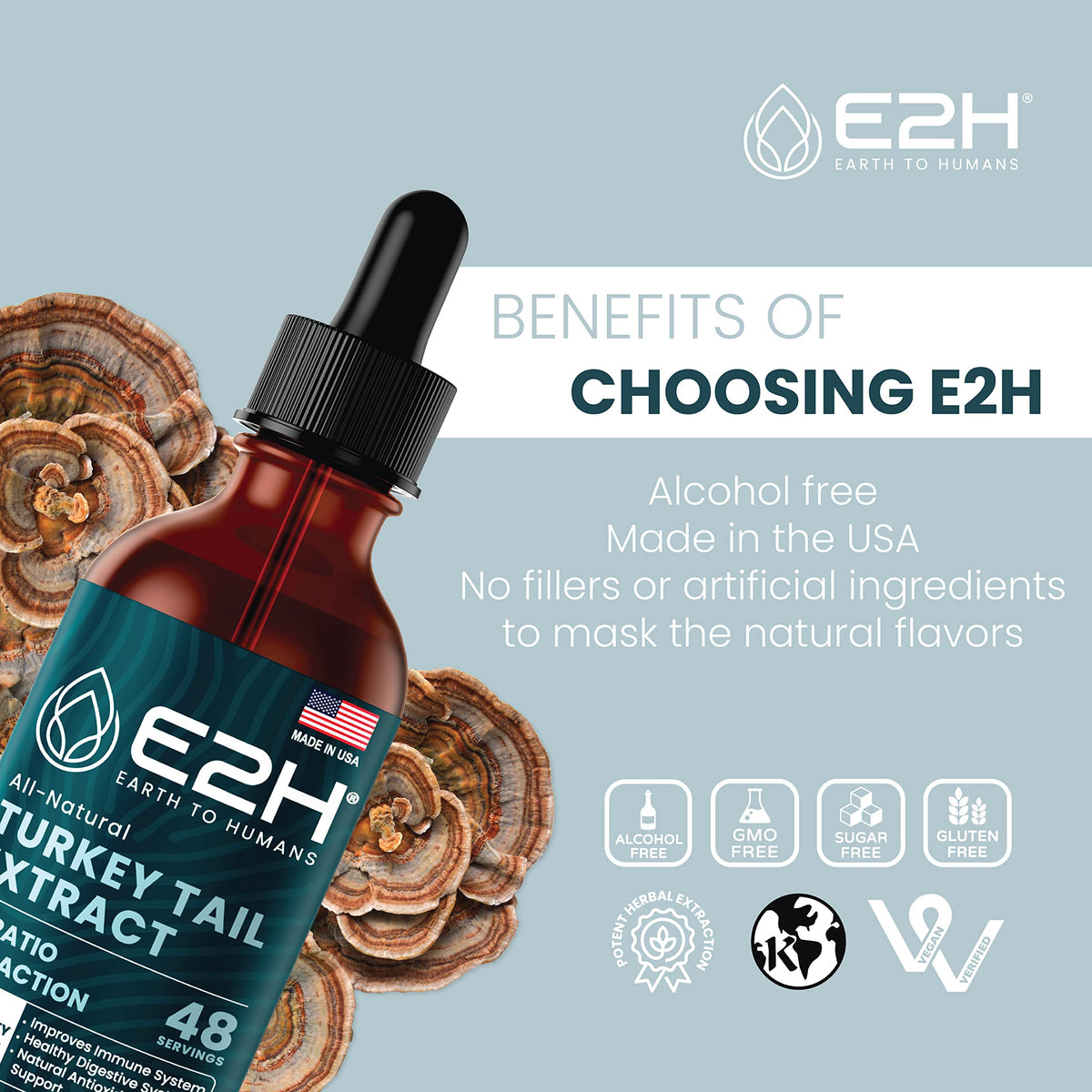 Extrait de champignon Turkey Tail E2H avec des ingrédients naturels