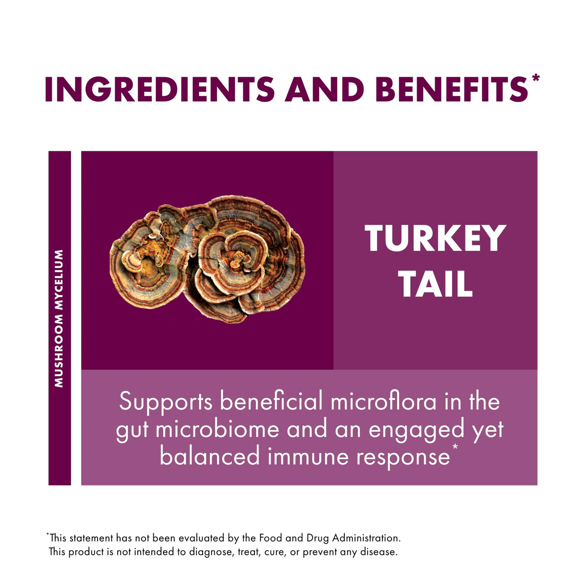 Extrait de champignon Turkey Tail sur une table en bois