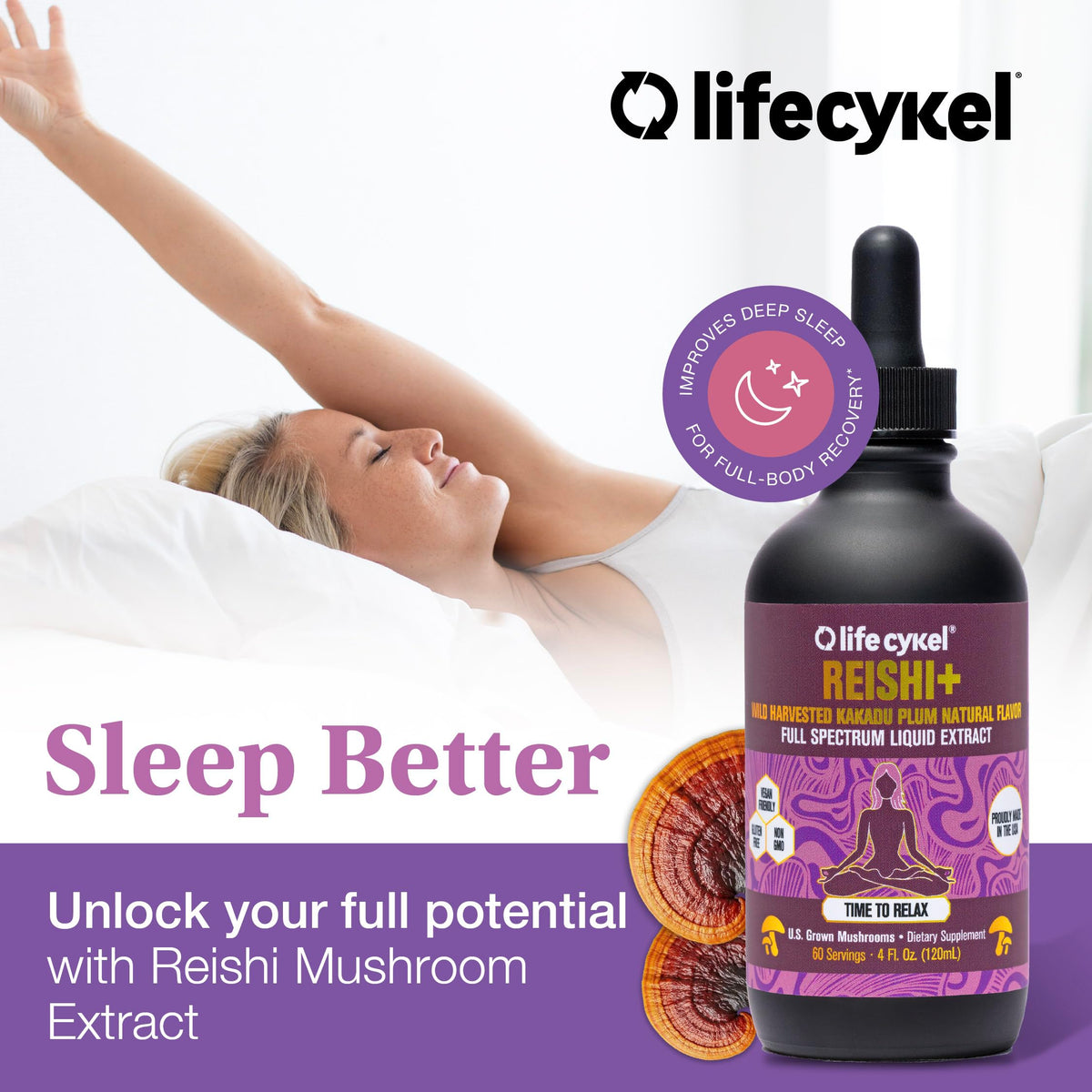 Extrait de champignons dans un flacon Life Cykel