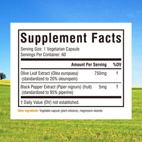 Extrait de feuille d'olive Innate Vitality capsules avec étiquette