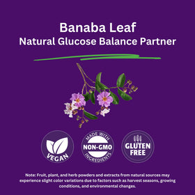 Extrait de feuille de banaba Paradise Herbs 250 mg, étiquette des ingrédients