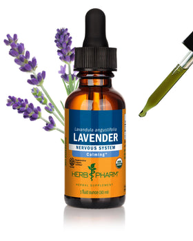 Extrait de Fleurs de Lavande Herb Pharm 30 ml vue avant