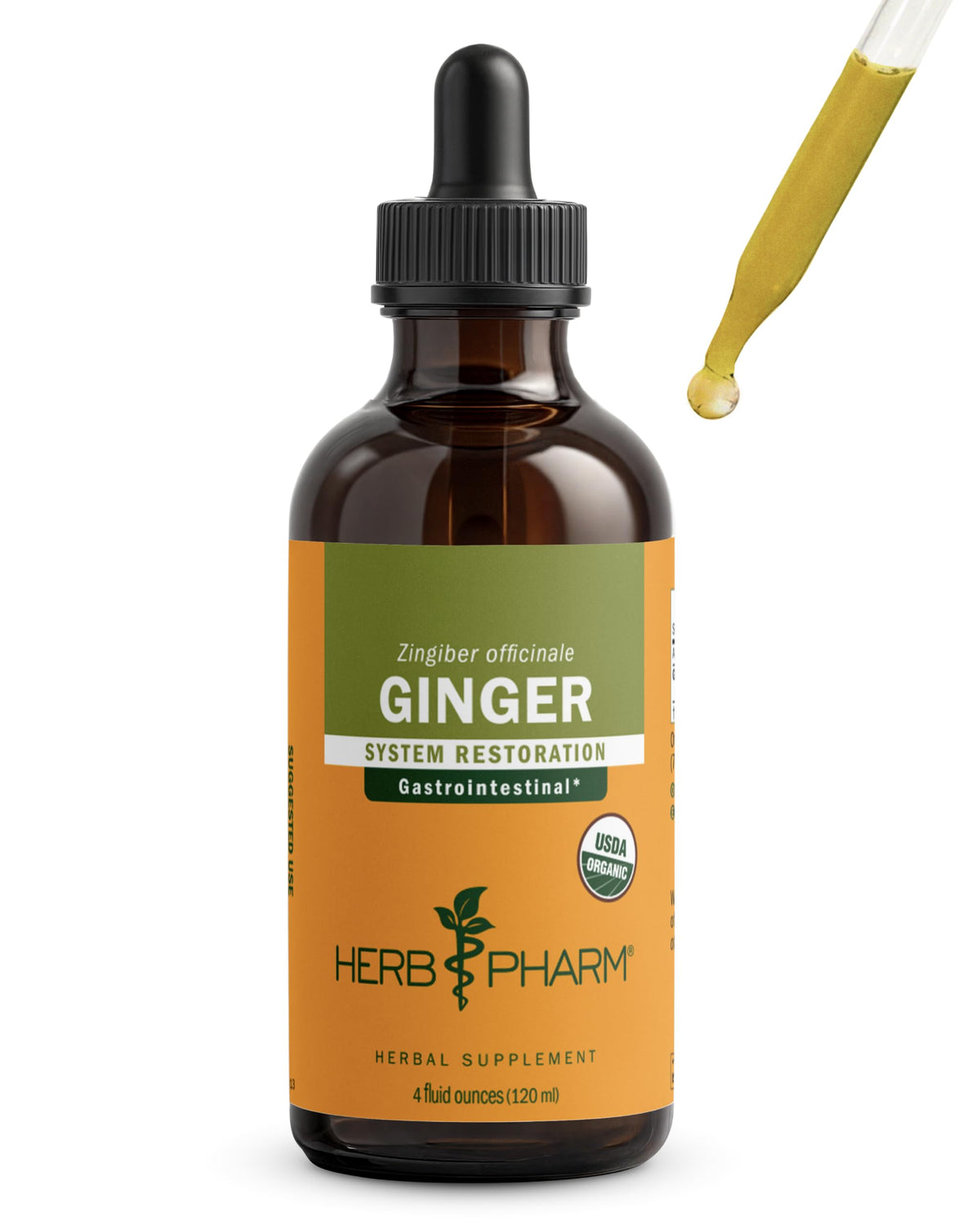 Extrait de gingembre Herb Pharm 120 ml, vue avant avec étiquette