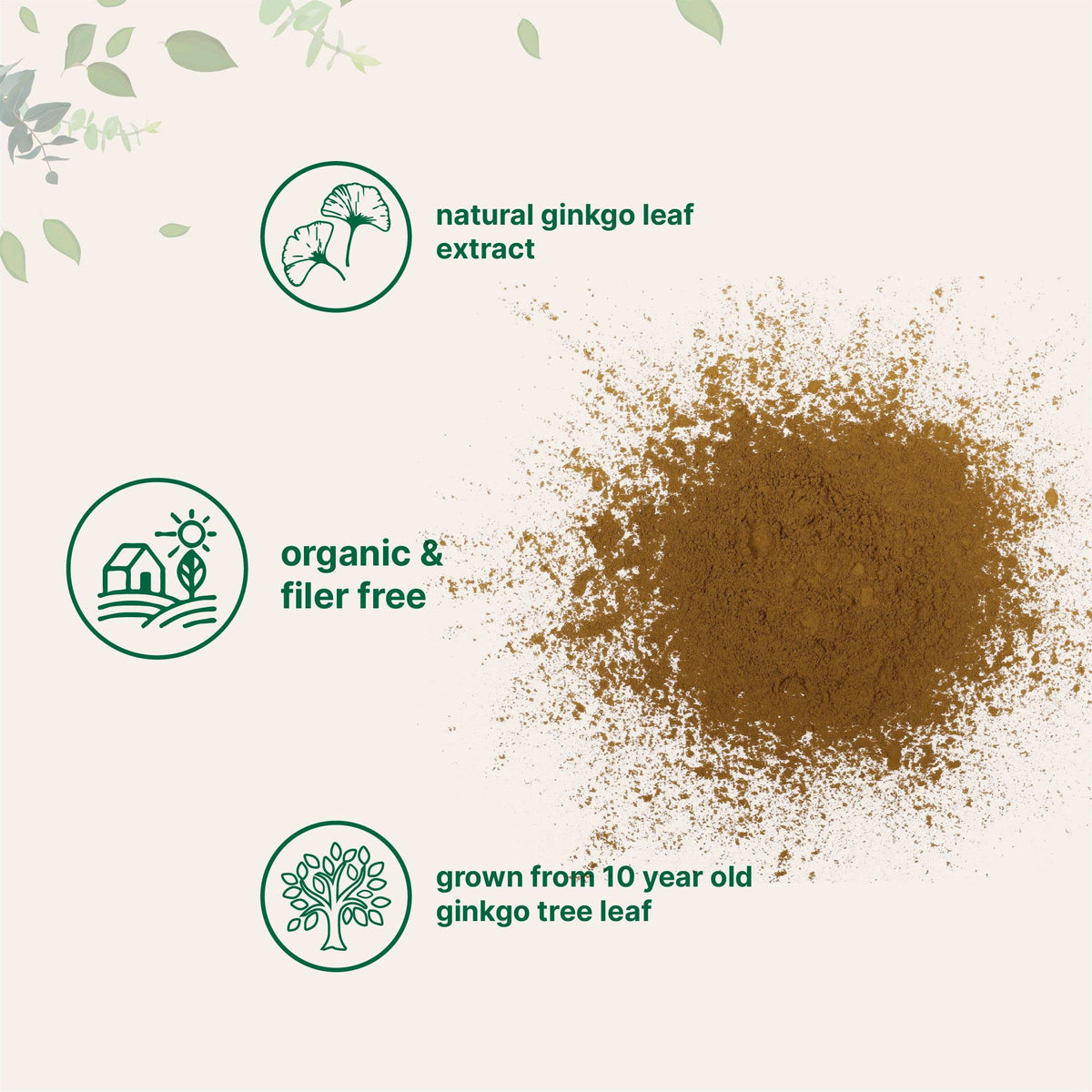 Extrait de Ginkgo Biloba Bio Micro Ingredients 240g en utilisation dans un smoothie