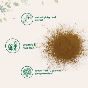 Extrait de Ginkgo Biloba Bio Micro Ingredients 240g en utilisation dans un smoothie