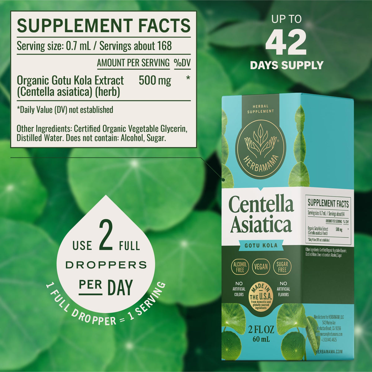 Extrait de Gotu Kola HERBAMAMA sur une cuillère