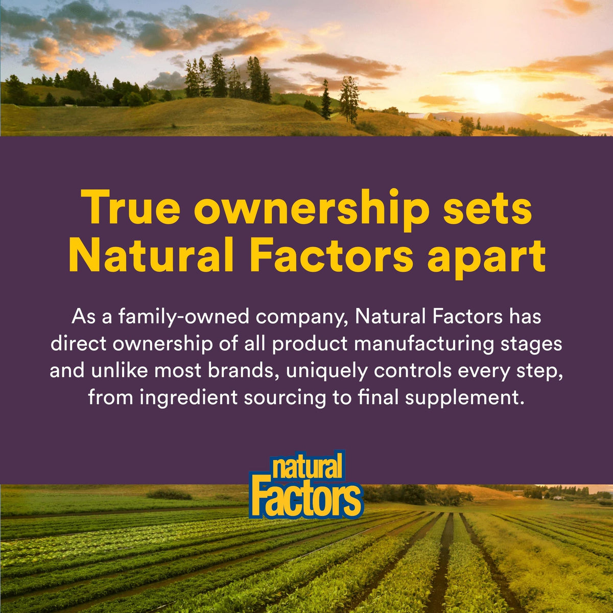 Extrait de graines de céleri Natural Factors présenté avec des légumes frais