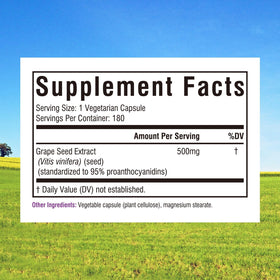 Extrait de pépins de raisin Innate Vitality 500 mg gélules végétariennes arrière