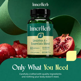 Extrait de piperine utilisé dans la formule InnerHerb Urolithin A