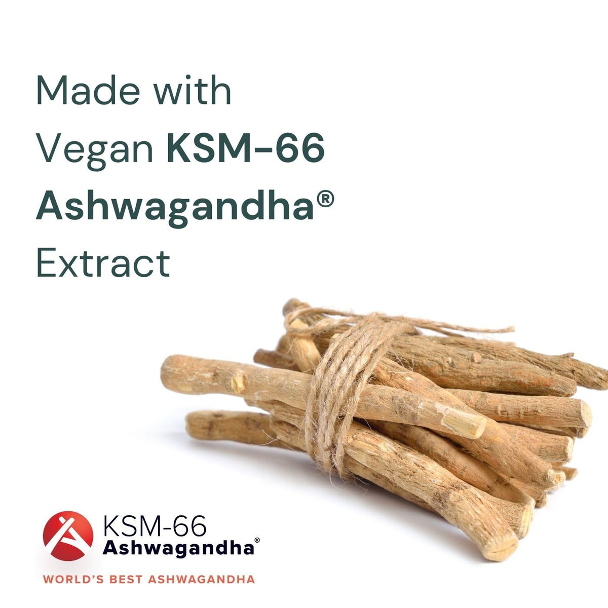 Extrait de racine d'Ashwagandha KSM-66 en illustration