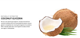 Extrait de racine de ginseng sibérien avec une cuillère doseuse