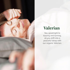 Extrait de racine de valériane Global Healing 60 ml sur fond blanc