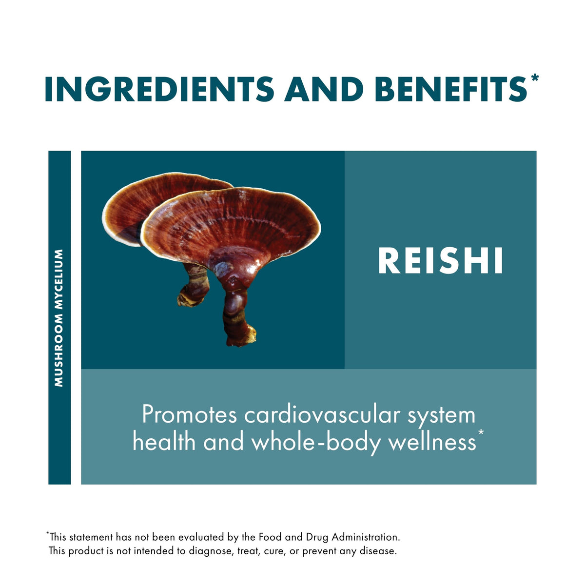 Extrait de Reishi Host Defense en utilisation dans une cuisine