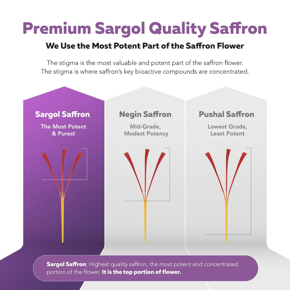 Extrait de Safran Bio Triquetra Health, illustration des bienfaits
