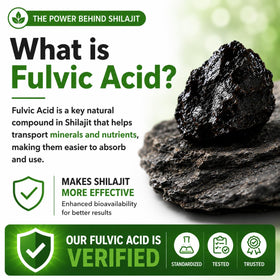 Extrait de Shilajit HCL avec poudre et capsules