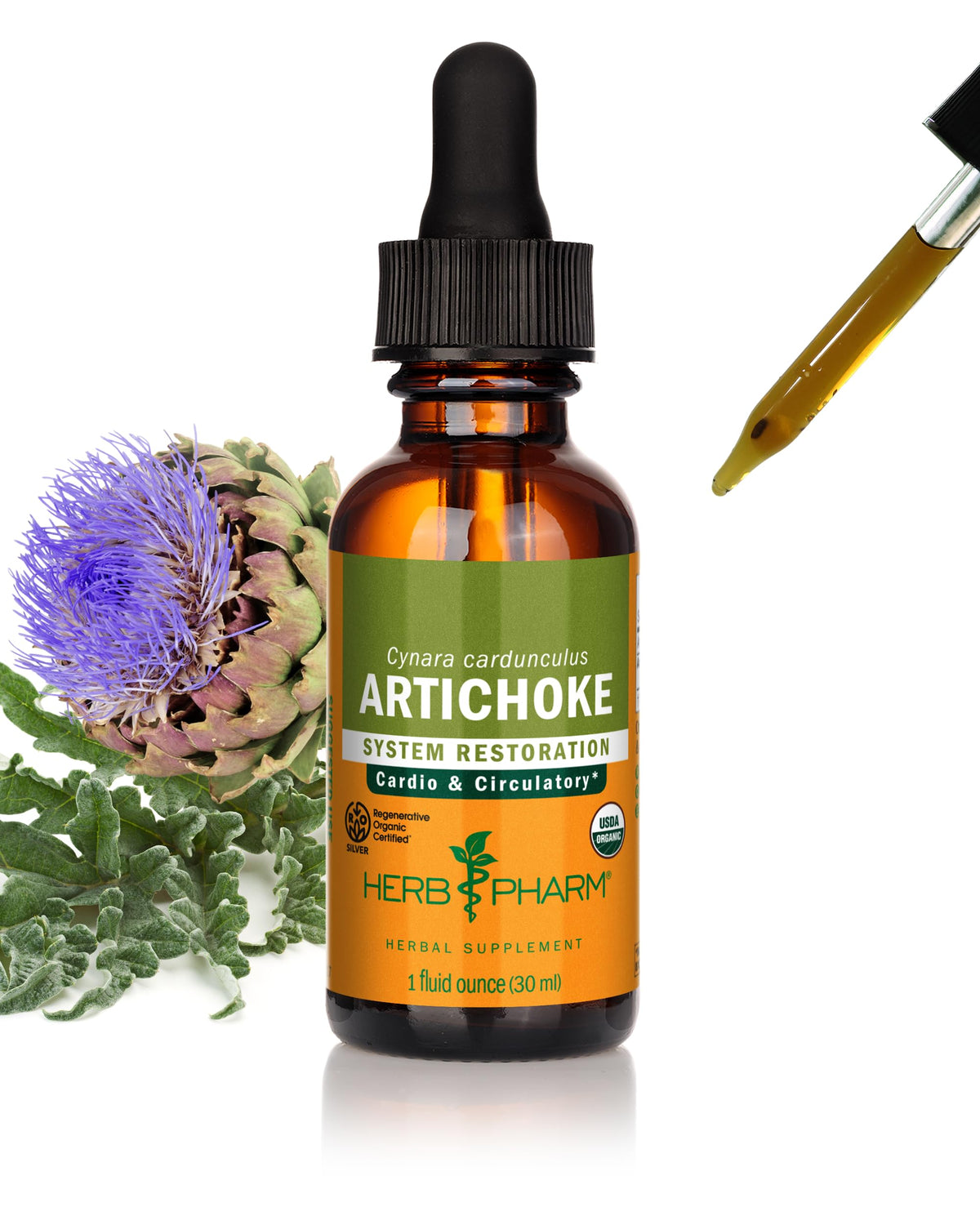 Extrait liquide d'artichaut bio Herb Pharm 30 ml vue avant
