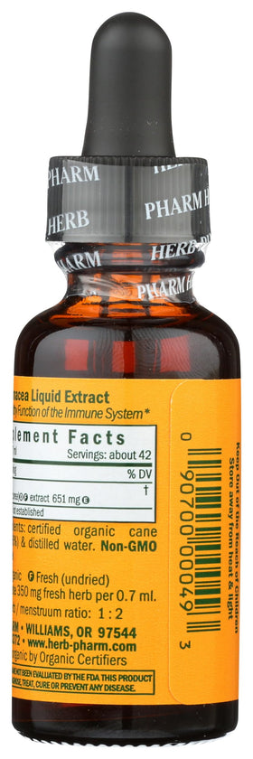 Extrait liquide d'échinacée bio Herb Pharm dans un verre d'eau