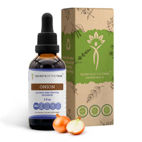Extrait liquide d'oignon sans alcool de Secrets of the Tribe, 60 ml, vue avant