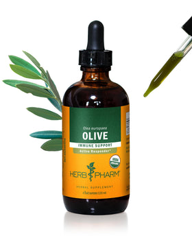 Extrait liquide de feuille d'olivier bio Herb Pharm 120 ml vue de face