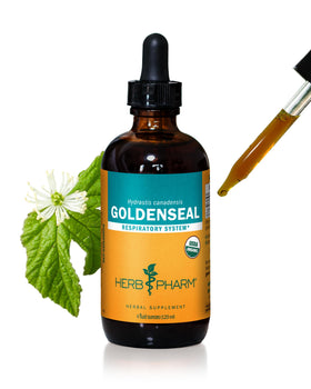 Extrait liquide de Goldenseal Herb Pharm 4 Oz vue avant