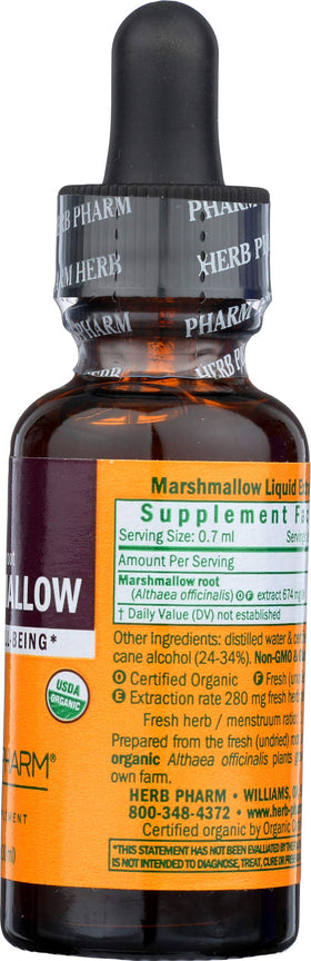 Extrait liquide de guimauve Herb Pharm en milieu naturel