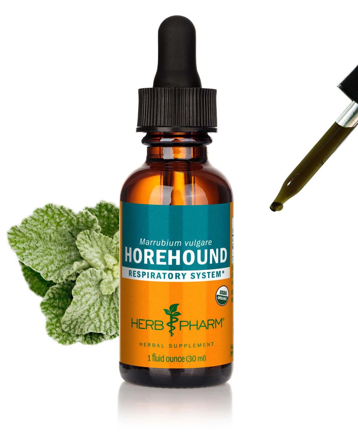 Extrait liquide de Horehound Herb Pharm 30 ml, bouteille vue de face