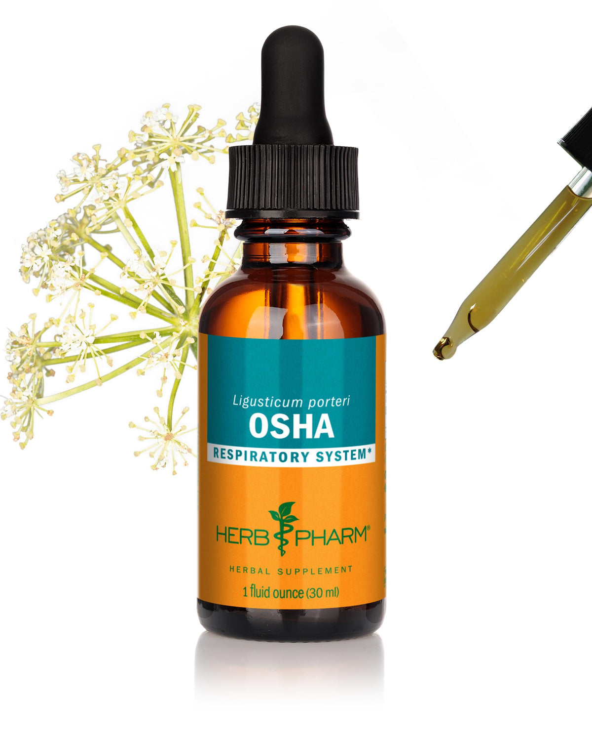 Extrait liquide de racine Osha Herb Pharm 30 ml, bouteille vue avant