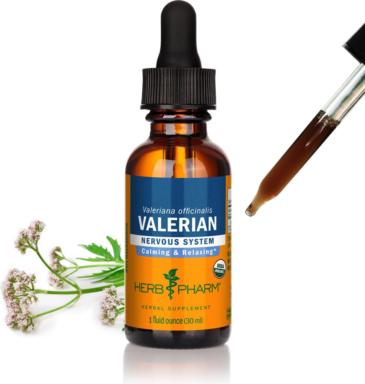 Extrait liquide de valériane Herb Pharm 30 ml, vue de face