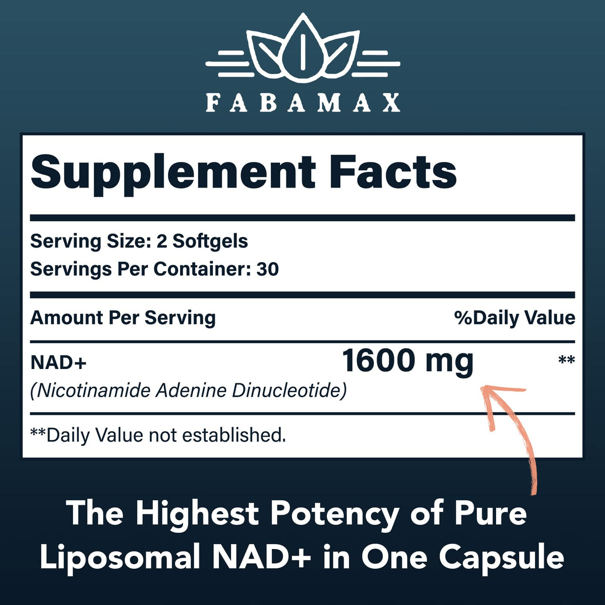 Fabamax Liposomal NAD+ 1600 mg capsules sur un fond blanc