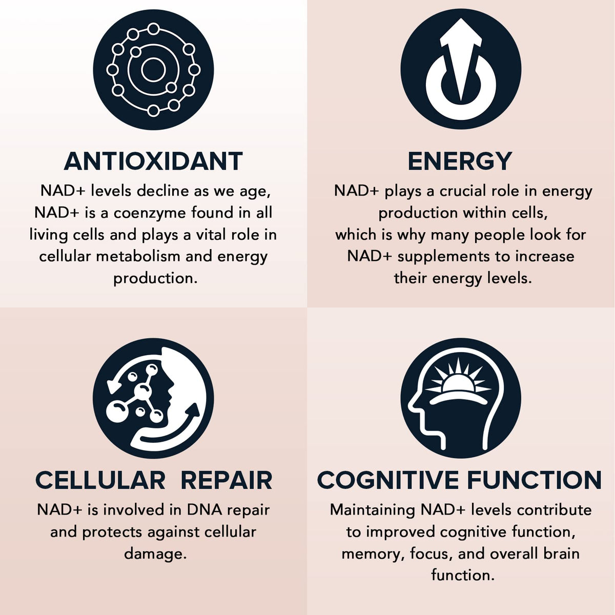 Fabamax Liposomal NAD+ 1600 mg gélules dans un verre d'eau