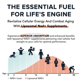 Fabamax Liposomal NAD+ 1600 mg gélules dans une main
