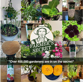 Farmer's Secret Fer Liquid 32oz en environnement de jardin