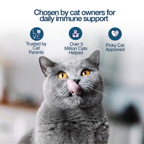 Felisyl Gel L-Lysine 5oz avec un chat heureux