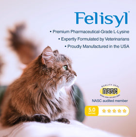 Felisyl Gel L-Lysine 5oz ouvert avec gel visible