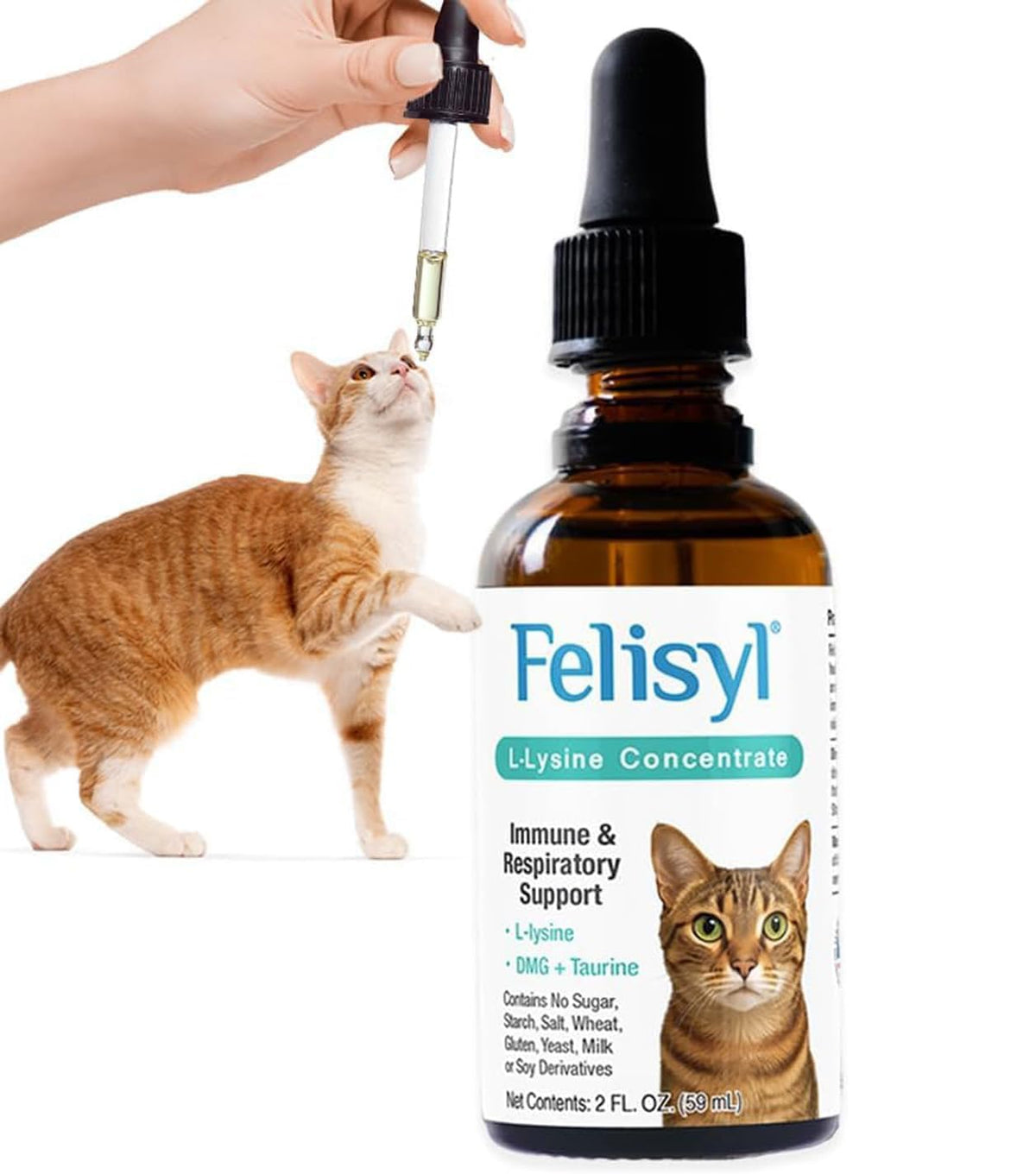 Felisyl Gel L-Lysine pour Chats 5 oz - vue avant