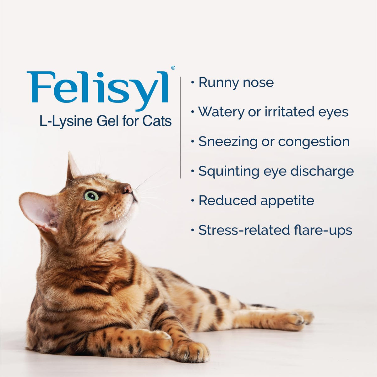 Felisyl Gel L-Lysine pour Chats 5oz avec bouchon ouvert