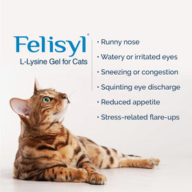 Felisyl Gel L-Lysine pour Chats 5oz avec bouchon ouvert
