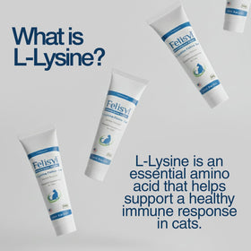 Felisyl Gel L-Lysine pour Chats 5oz en contexte avec un chat