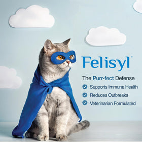Felisyl Gel L-Lysine pour Chats 5oz en main