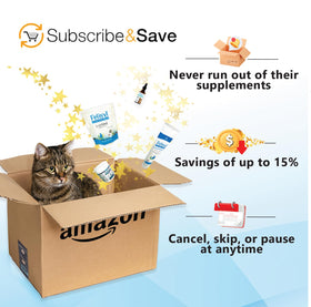 Felisyl Gel L-Lysine pour Chats - en contexte avec un chat