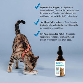 Felisyl Gel L-Lysine pour Chats - informations nutritionnelles