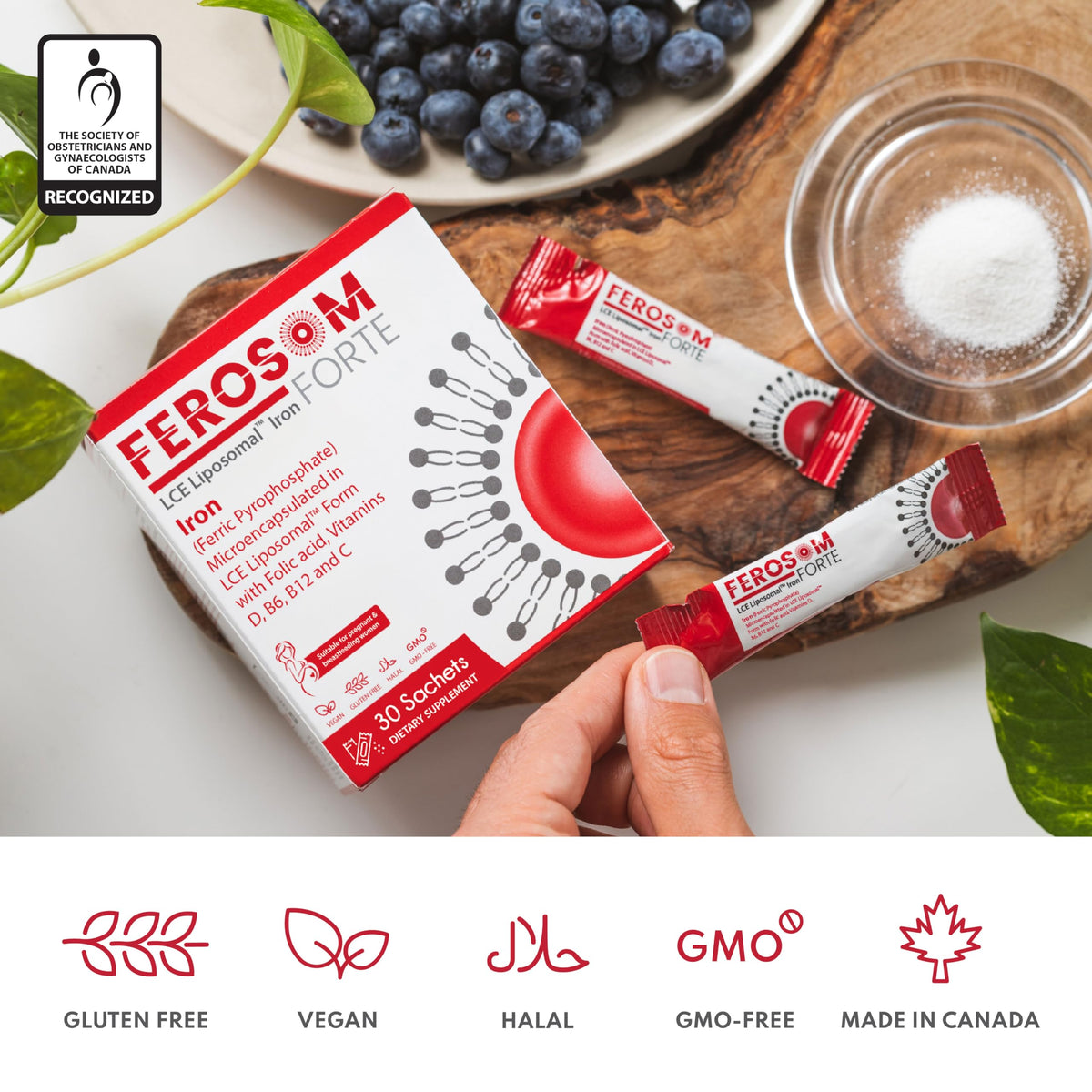FEROSOM FORTE Poudre de Fer Liposomale 21 mg en poudre avec fruits
