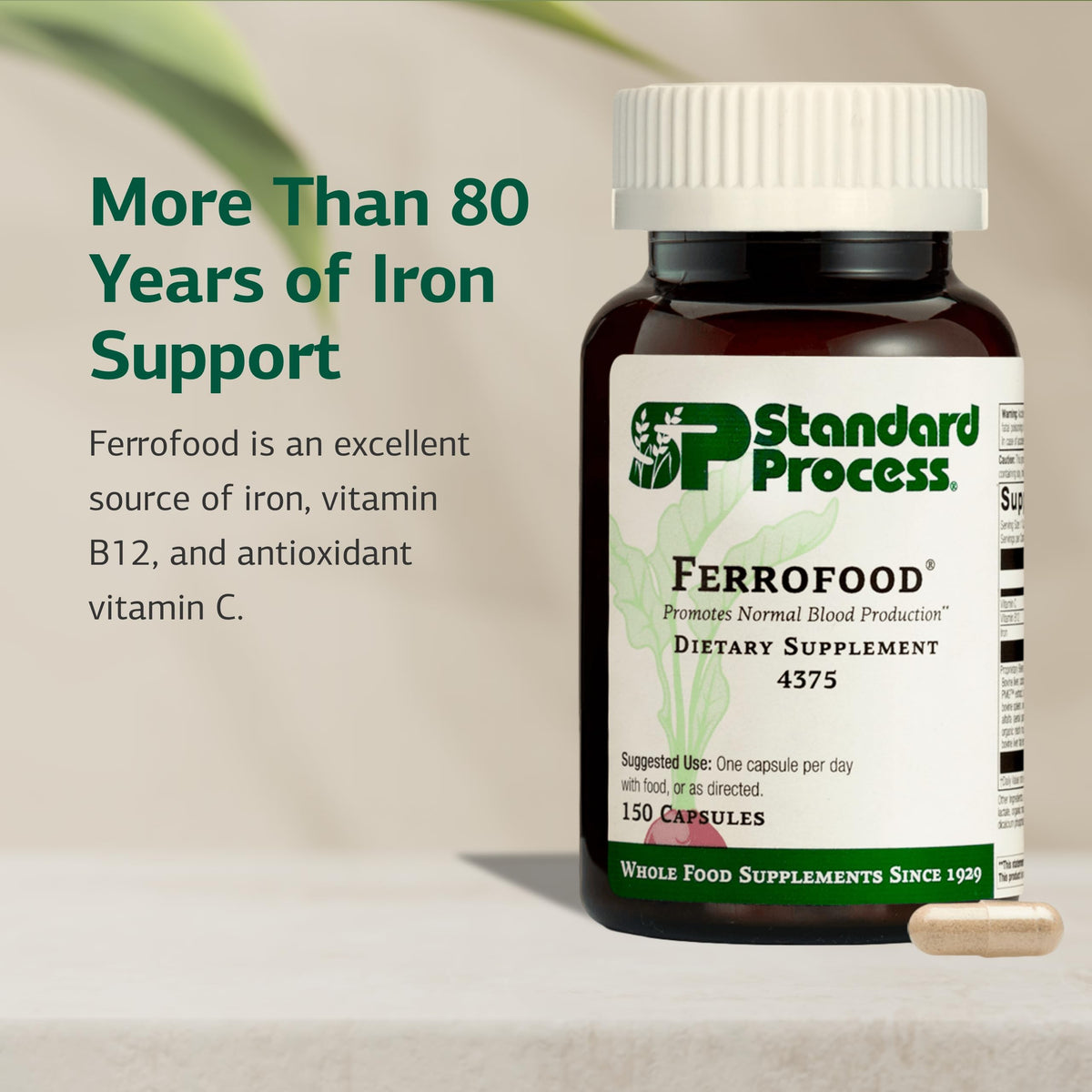 Ferrofood Standard Process capsules sur fond blanc