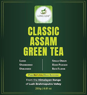 Feuilles de thé vert Assam en gros plan