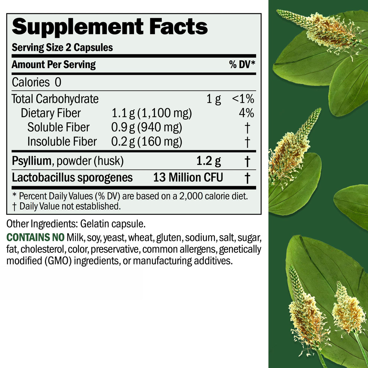 Fibermucil Psyllium Husk capsule bottle